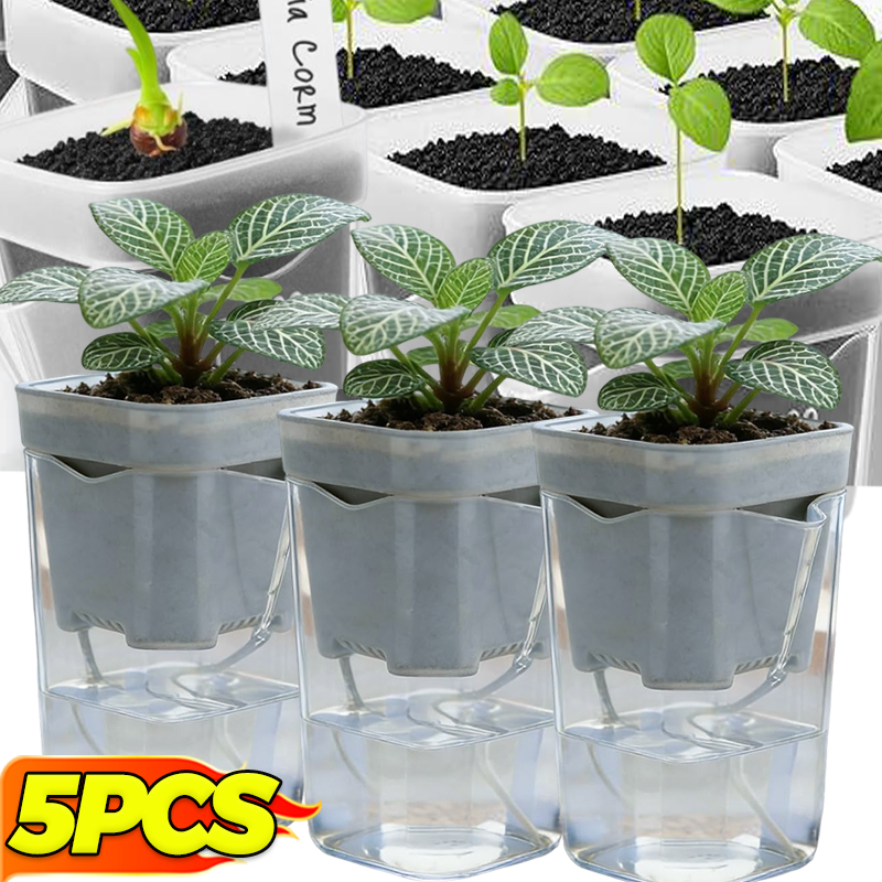Orchid Potting Mix - Transparent Flower Plant Pot Self Watering