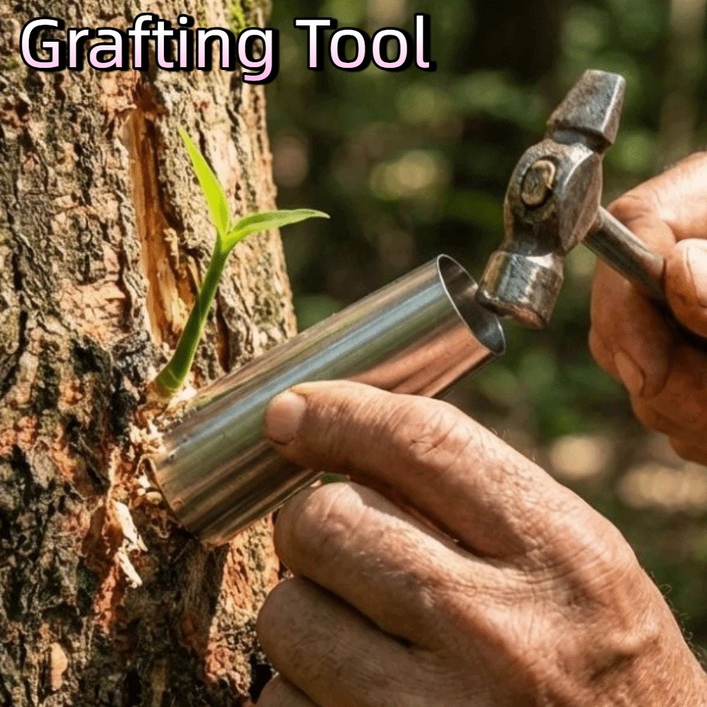Gardening Tools On Sale - 5Pcs Stainless Steel Bud-Grafting Tools Non-Damaging