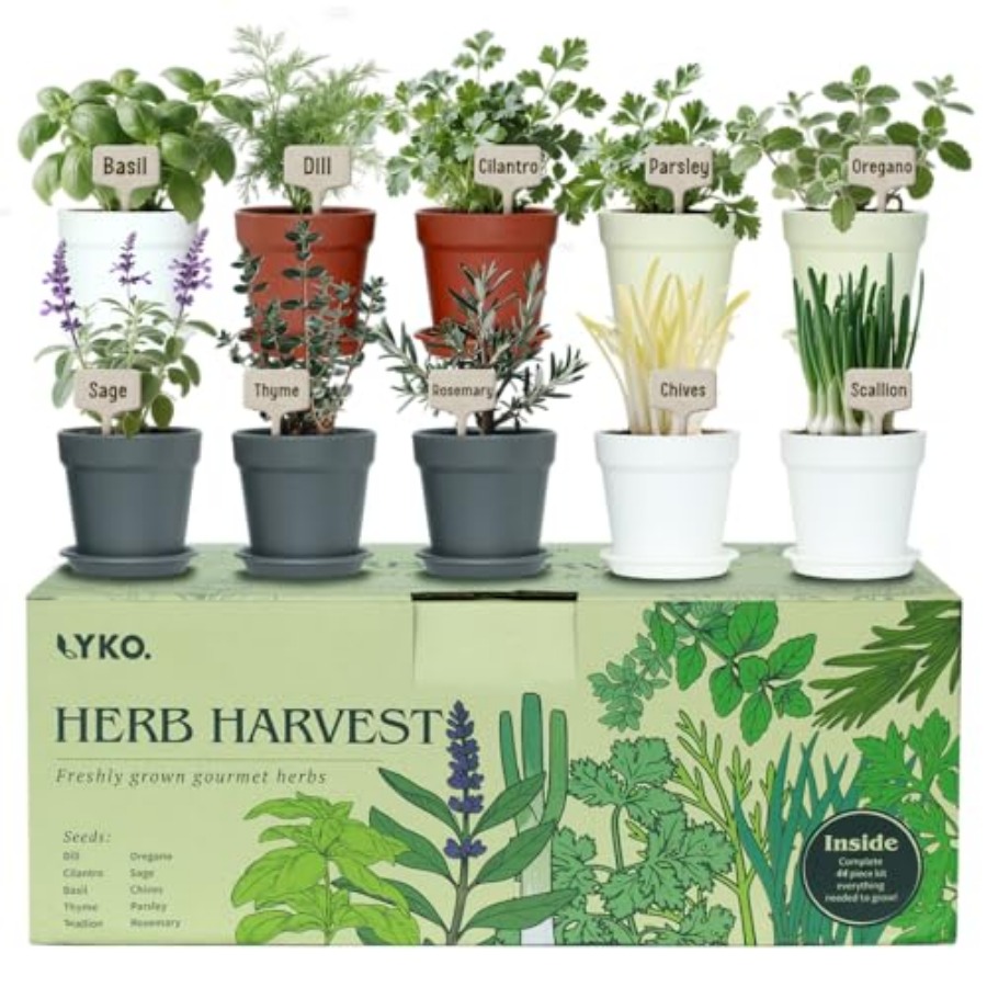 Gardening Tools Gift Ideas - 10 Indoor Herb Garden Kit 33pcs