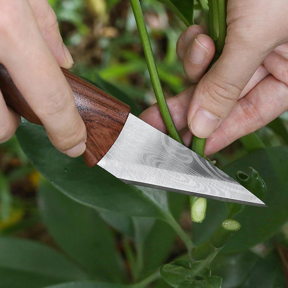 Multi-Functional Sharp Handhel - Gardening Tools Sharp review and price