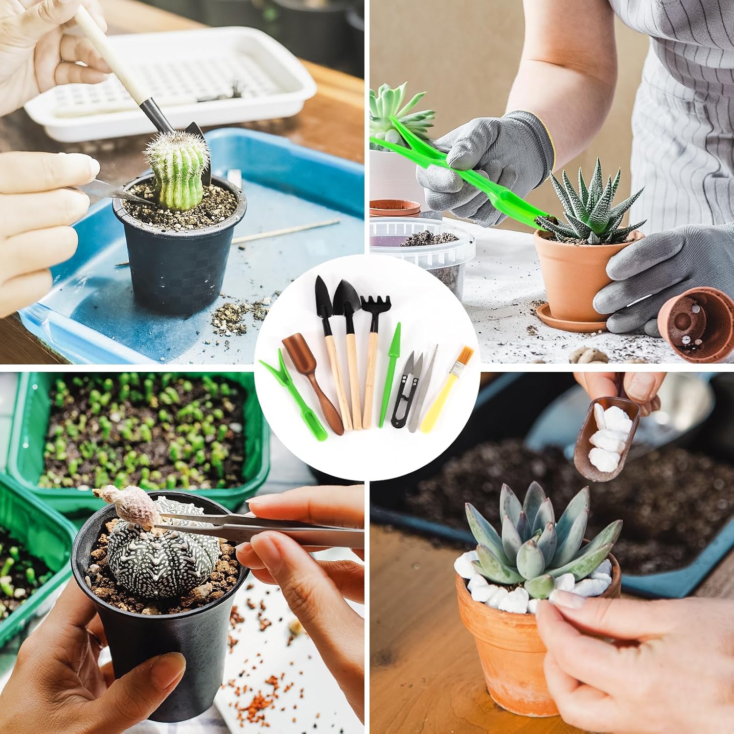 Garden Tool Set, Including 9 S - Gardening Tools Gloves review and price