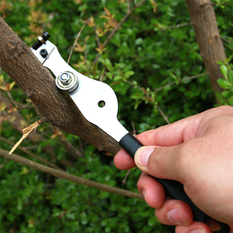 B84B-Fruit Tree Peeling Ring S - Gardening Tools On Sale review and price