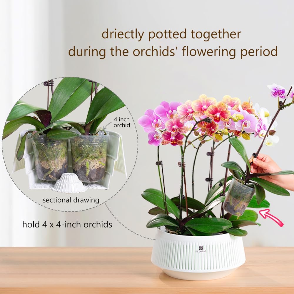 Orchid Pot with Holes & Saucer - Orchid Potting Mix review and price