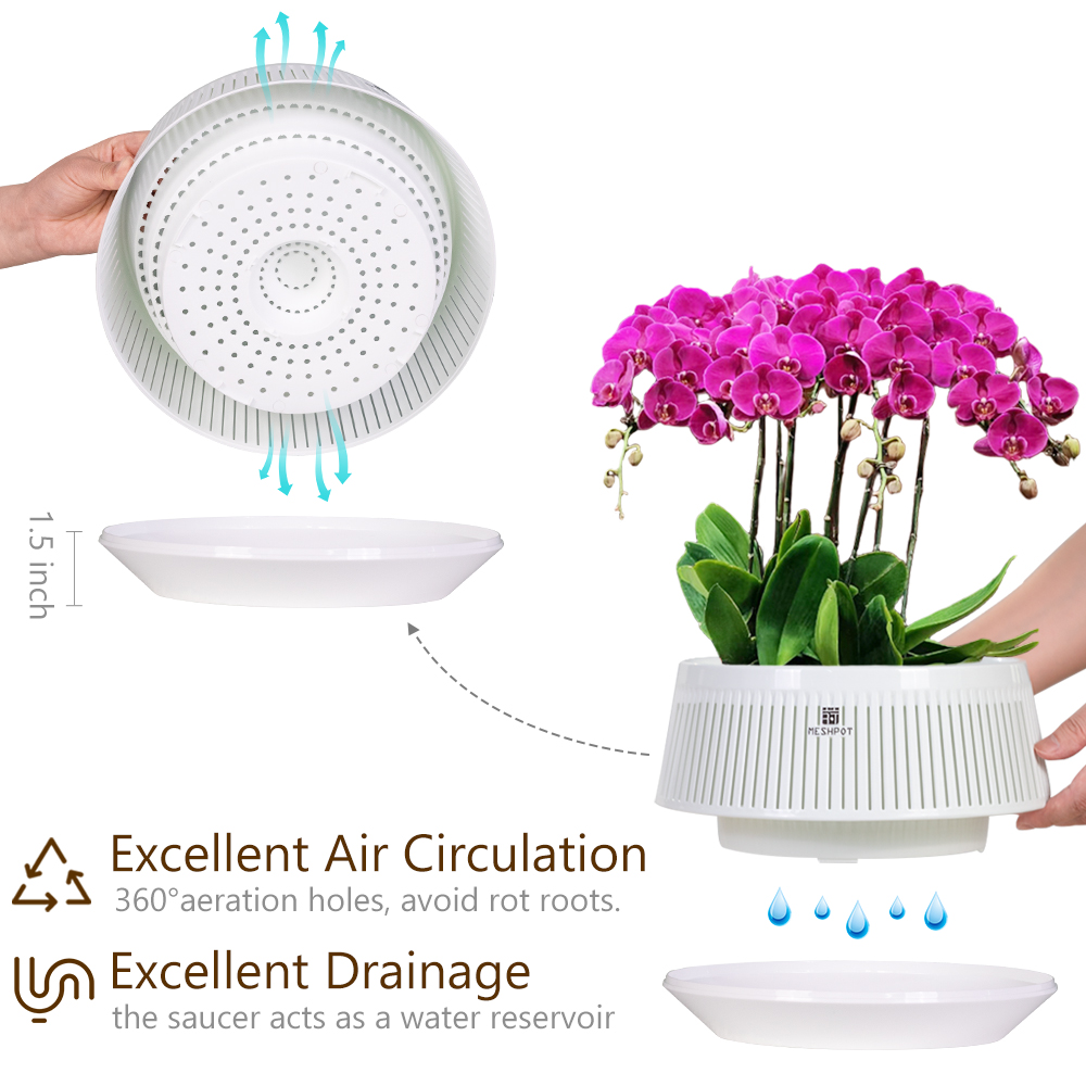 Orchid Pot with Holes & Saucer - Orchid Potting Mix review and price