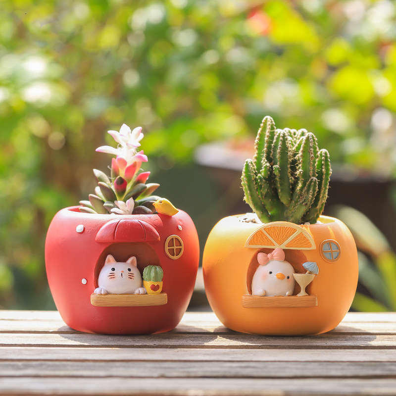 Cute Fruit Themed Planters for - Orchid Potting Mix review and price