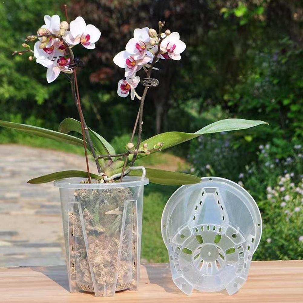 Plastic Root Control Transpare - Orchid Potting Mix review and price