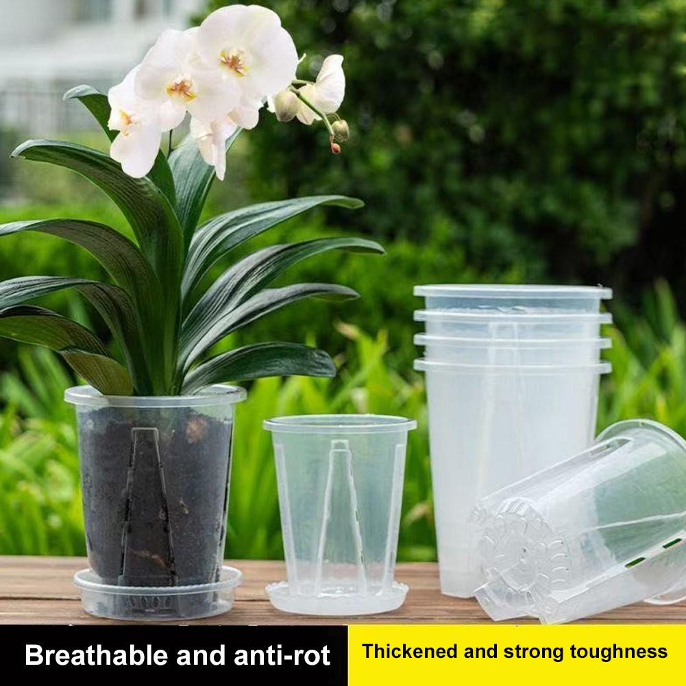 Plastic Root Control Transpare - Orchid Potting Mix review and price