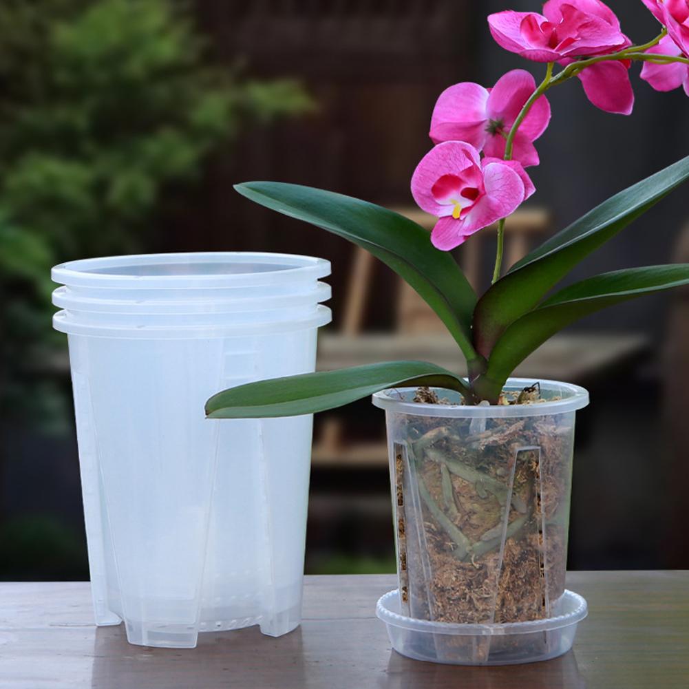Plastic Root Control Transpare - Orchid Potting Mix review and price