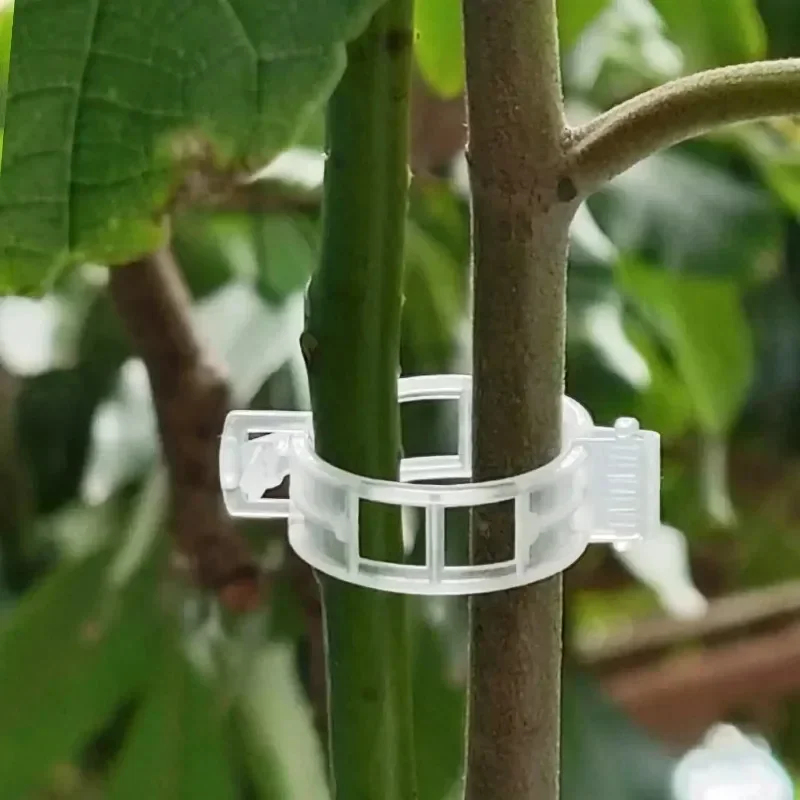 50-300PCS Plant Support Clips  - Gardening Tools Hoe review and price