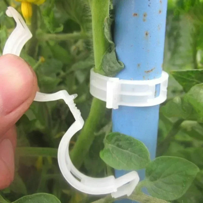 50-300PCS Plant Support Clips  - Gardening Tools Hoe review and price
