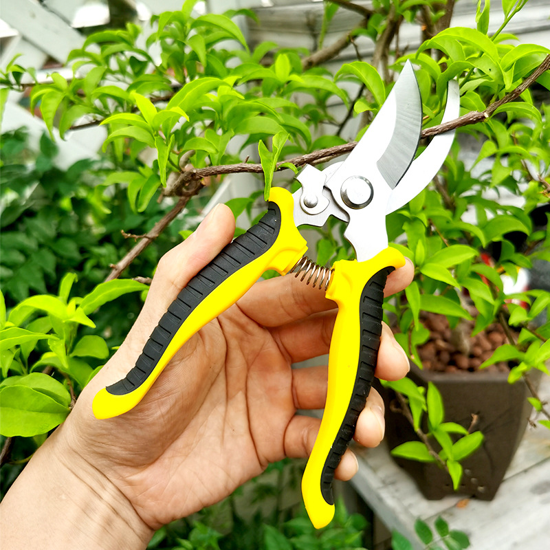 This Gardening Shear Is Super  - Gardening Tools On Sale review and price