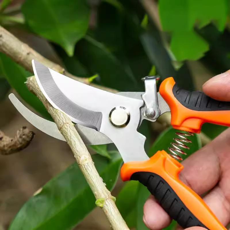 This Gardening Shear Is Super  - Gardening Tools On Sale review and price