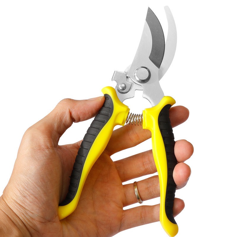Pruner Garden Scissors Profess - Gardening Tools On Sale review and price