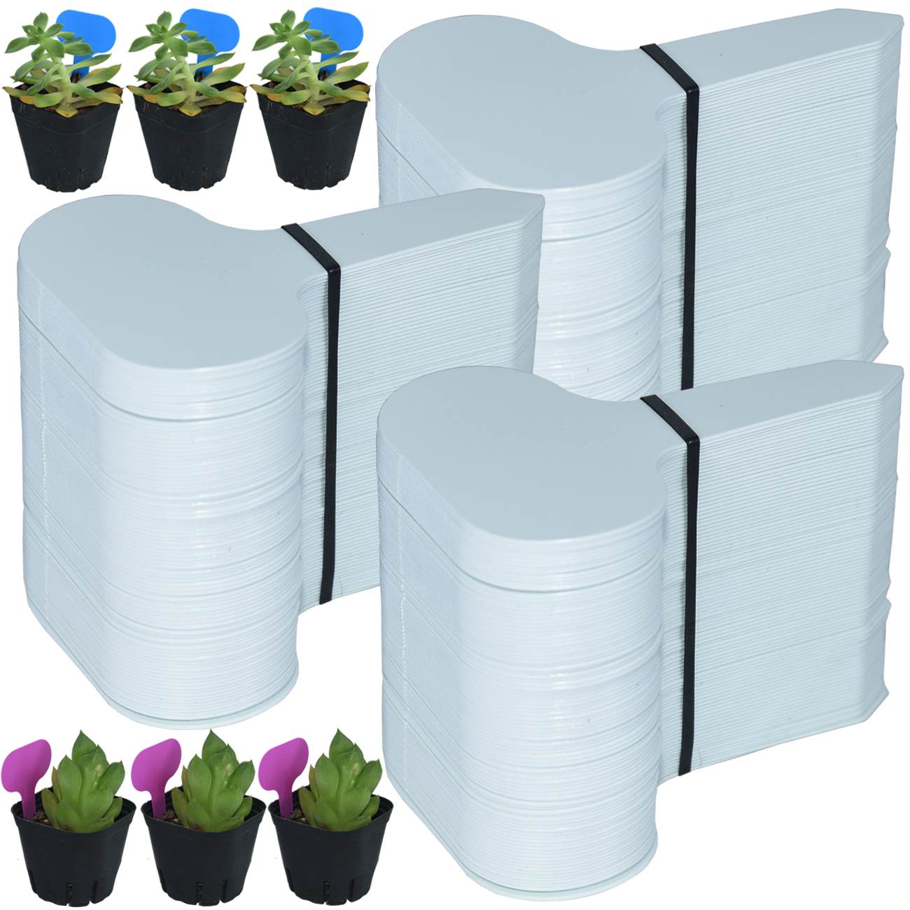 50PCS Garden Plant Labels Mark - Plant Label Tags review and price