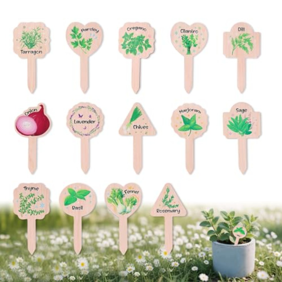 15pcs Plant Label Signs 15 Sty - Plant Label Tags review and price