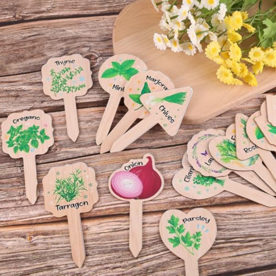 15pcs Plant Label Signs 15 Sty - Plant Label Tags review and price
