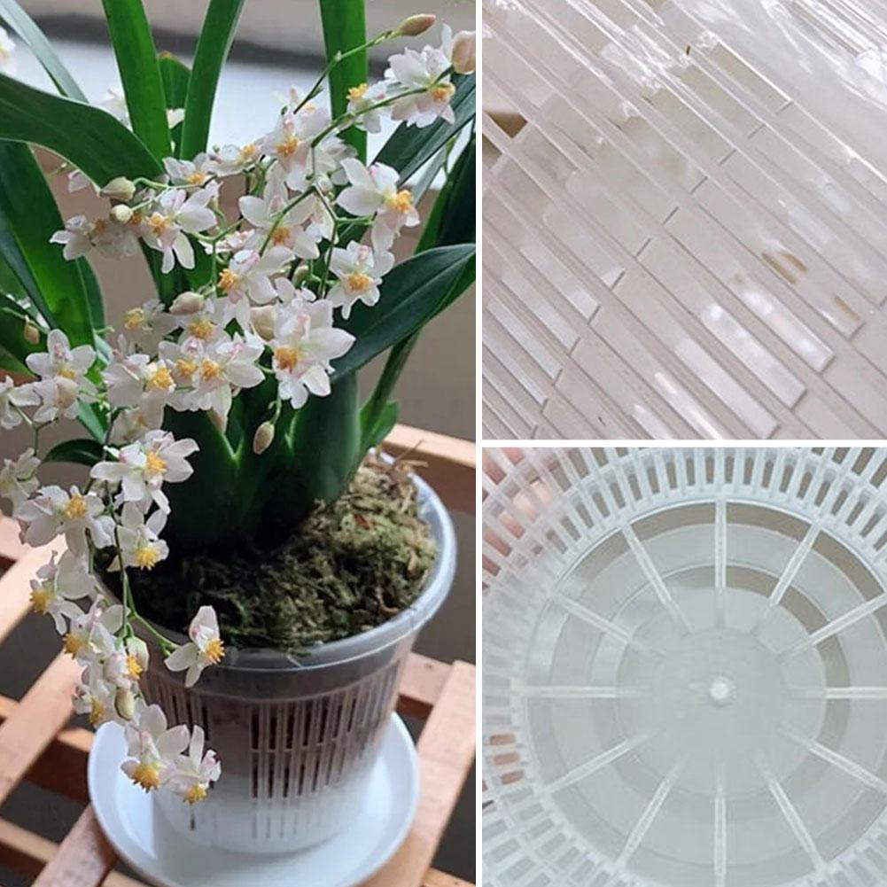 Mesh Pot Root Control Transpar - Orchid Potting Mix review and price