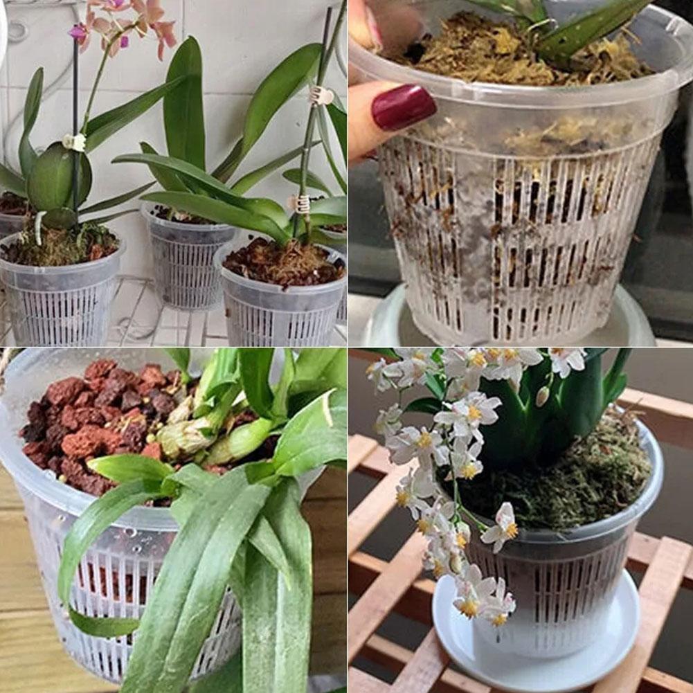 Mesh Pot Root Control Transpar - Orchid Potting Mix review and price