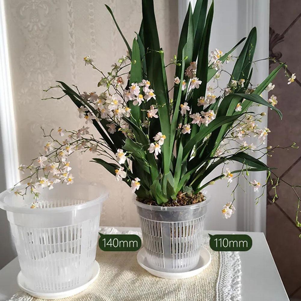 Mesh Pot Root Control Transpar - Orchid Potting Mix review and price