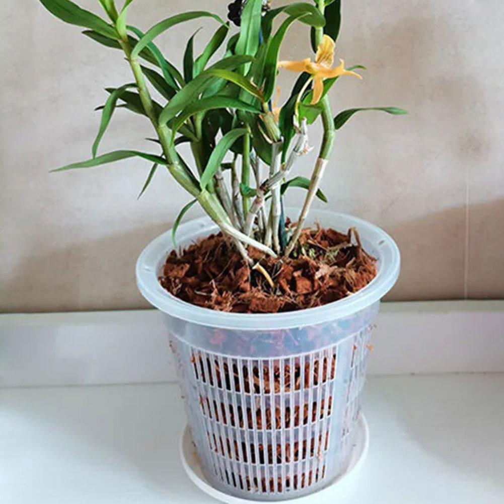 Mesh Pot Root Control Transpar - Orchid Potting Mix review and price
