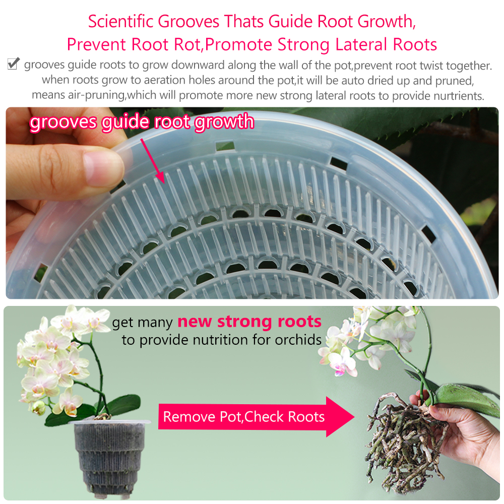 Meshpot Clear Plastic Orchid P - Orchid Potting Mix review and price