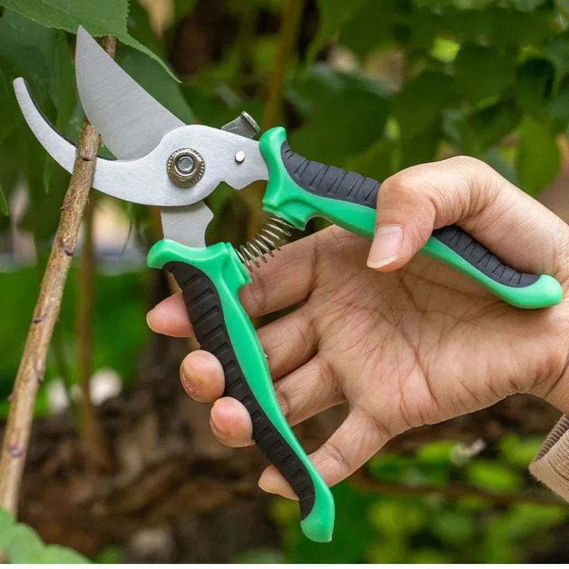 Stainless Steel Professional G - Gardening Tools On Sale review and price