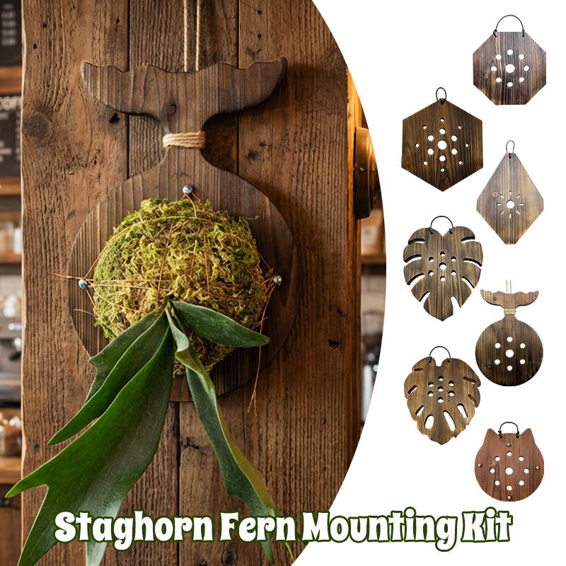 New Wooden Staghorn Fern Wall  - Orchid Potting Mix review and price