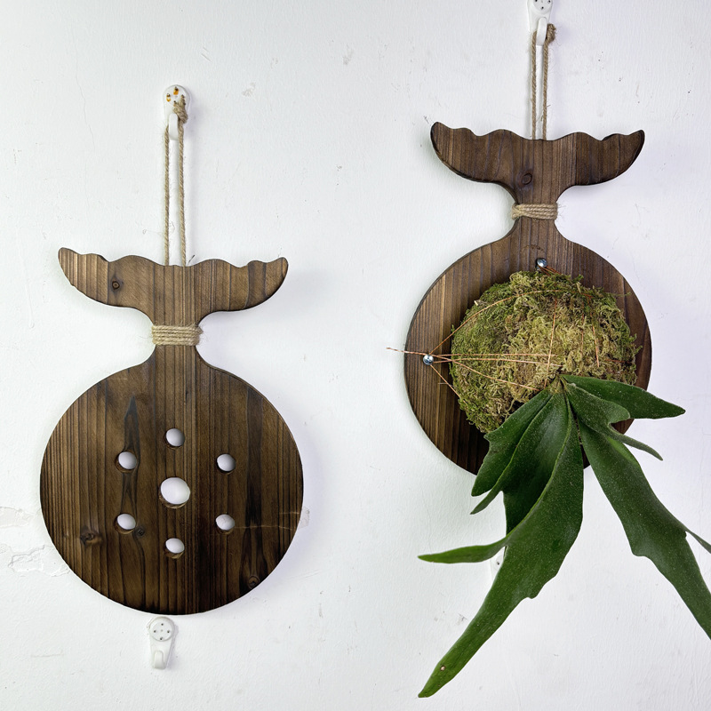 New Wooden Staghorn Fern Wall  - Orchid Potting Mix review and price