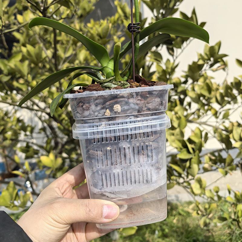 Self Watering Flowerpot Double - Orchid Potting Mix review and price