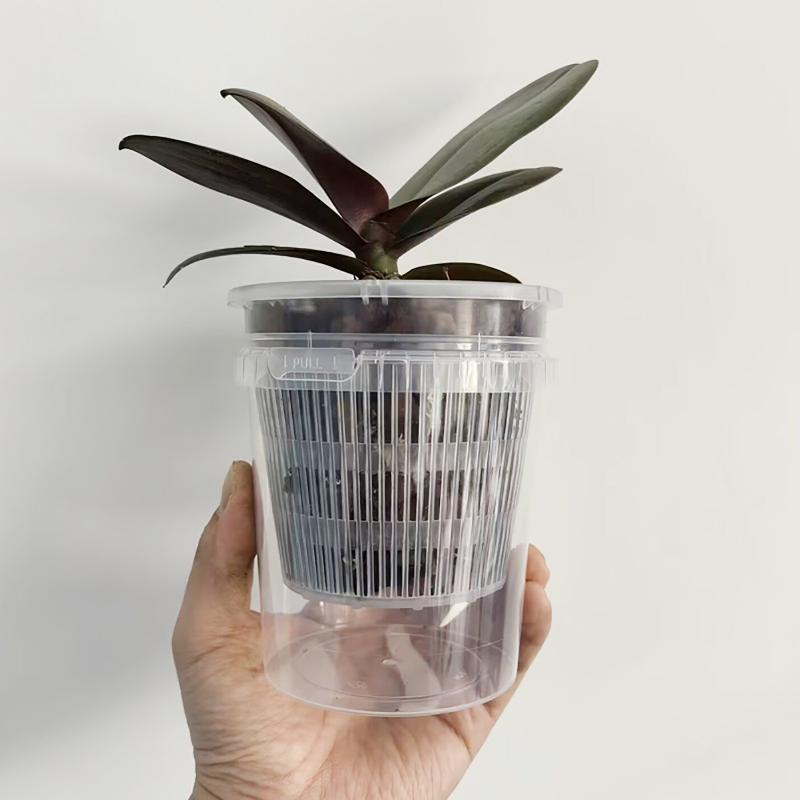 Self Watering Flowerpot Double - Orchid Potting Mix review and price