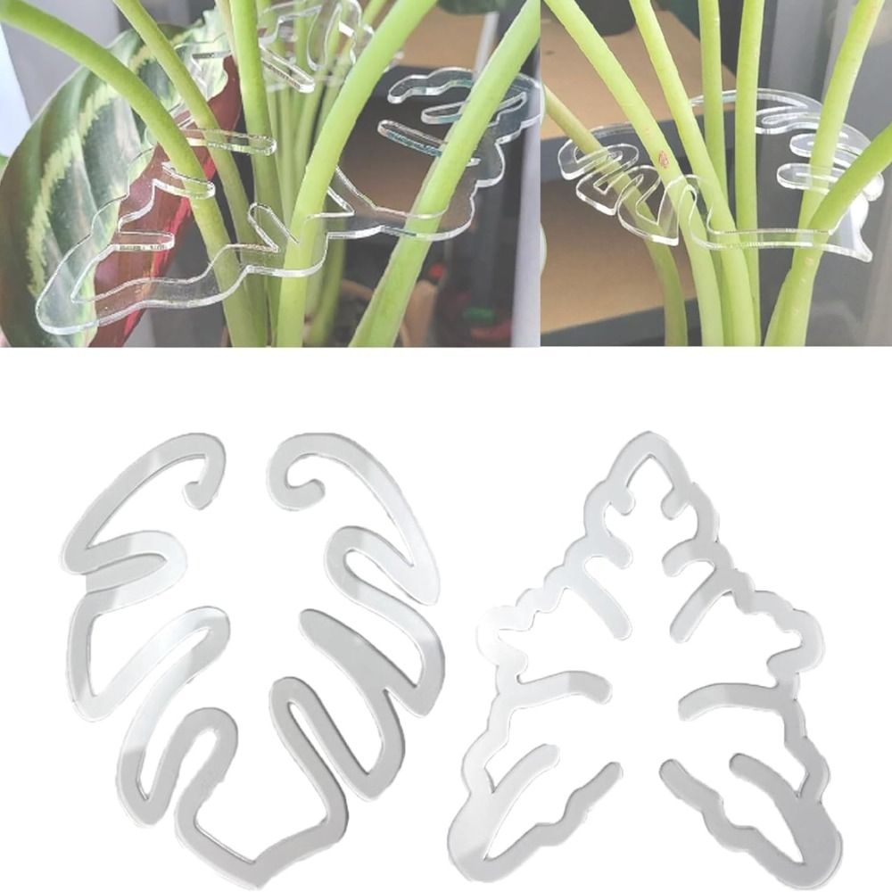 Reusable Turtle Shell Bamboo C - Gardening Tools Hoe review and price