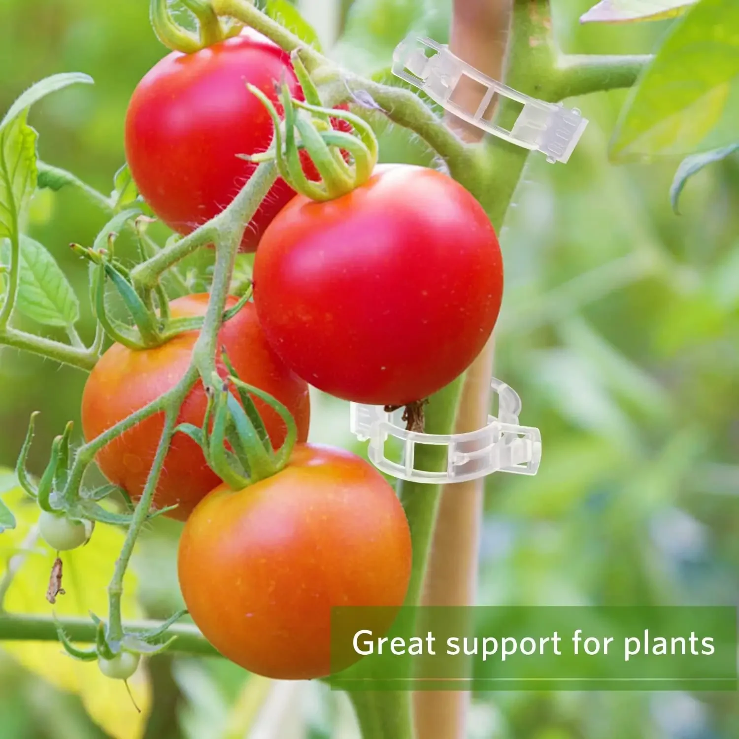500/50PCS Plant Support Clips  - Gardening Tools Hoe review and price