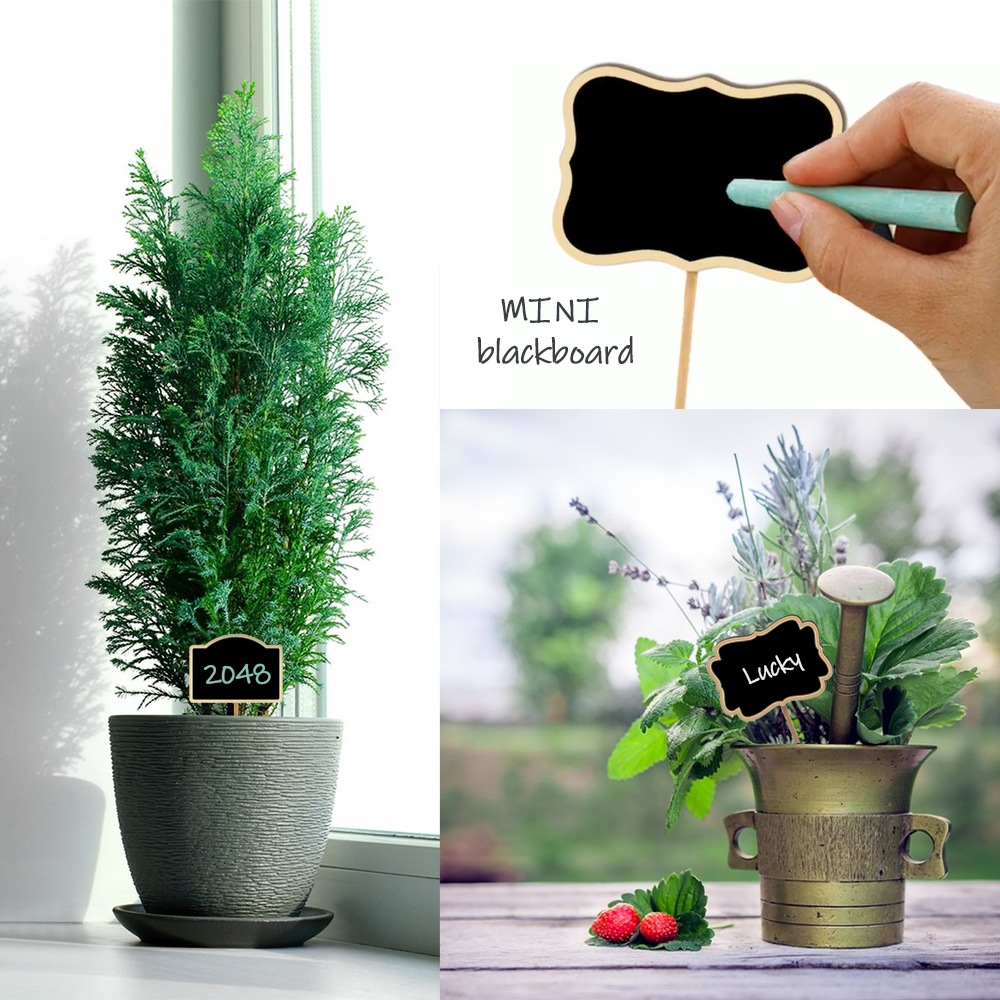 10PCS Wood Mini Chalkboard Sig - Plant Label Tags review and price