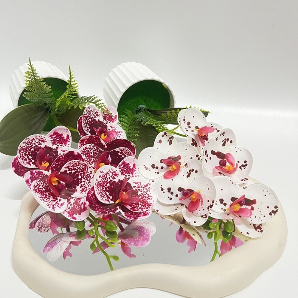 Multi-Bloom Simulated Butterfl - Orchid Potting Mix review and price