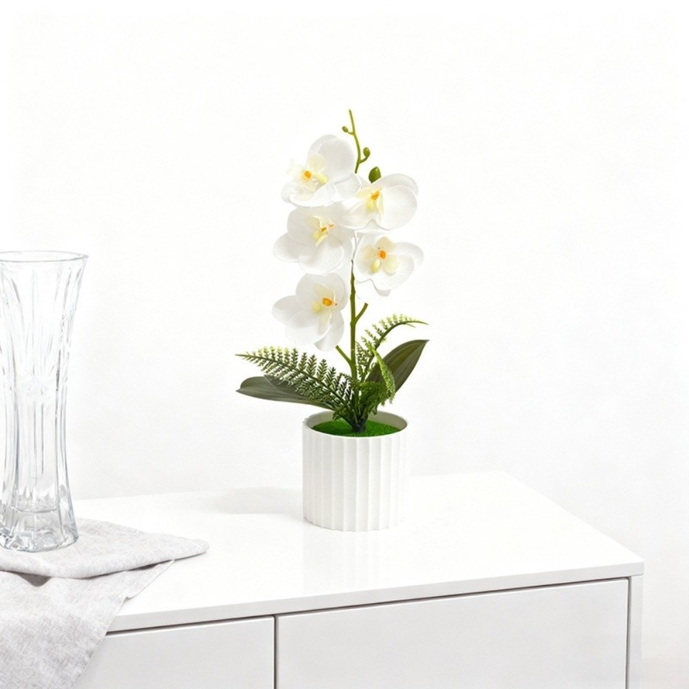 Multi-Bloom Simulated Butterfl - Orchid Potting Mix review and price
