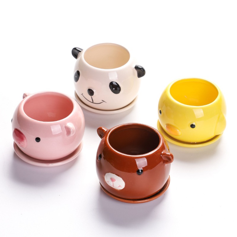 Succulent Cartoon Flowerpot Ce - Orchid Potting Mix review and price