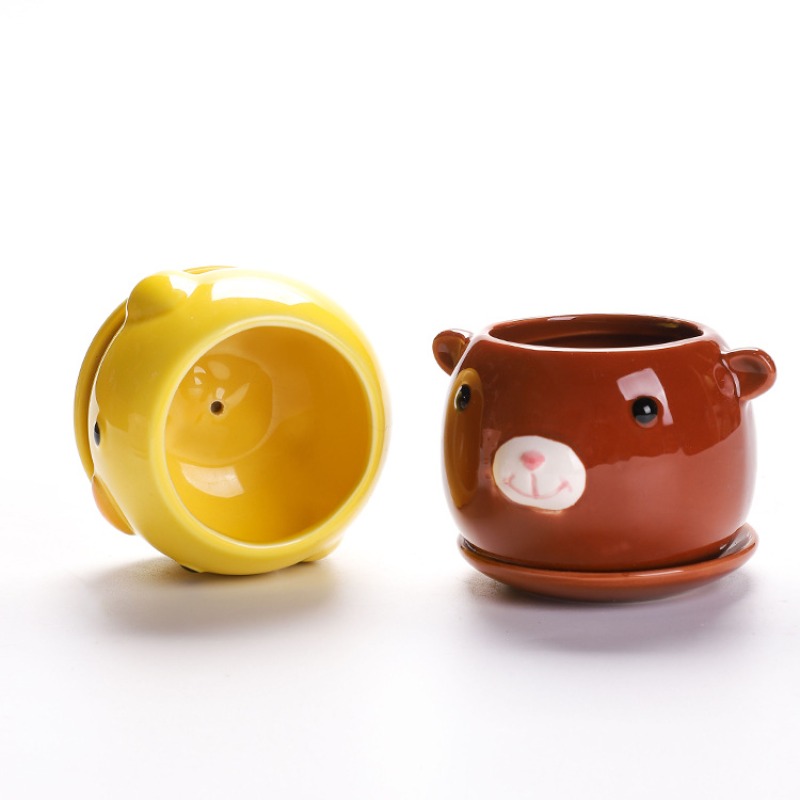 Succulent Cartoon Flowerpot Ce - Orchid Potting Mix review and price