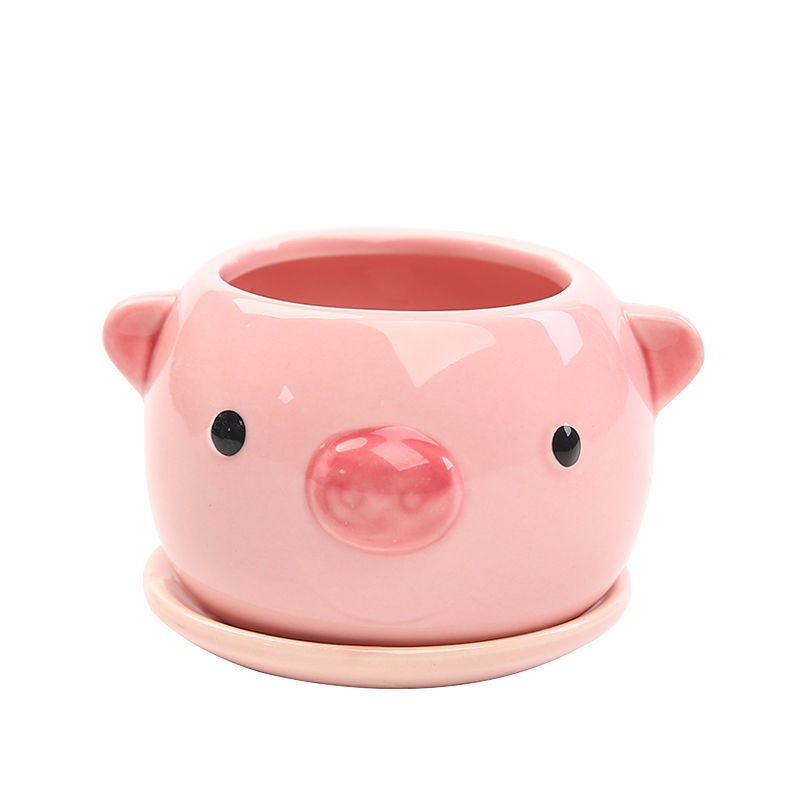 Succulent Cartoon Flowerpot Ce - Orchid Potting Mix review and price