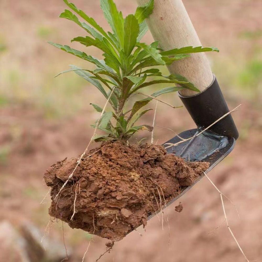 Durable Garden Hoe Household O - Gardening Tools On Sale review and price