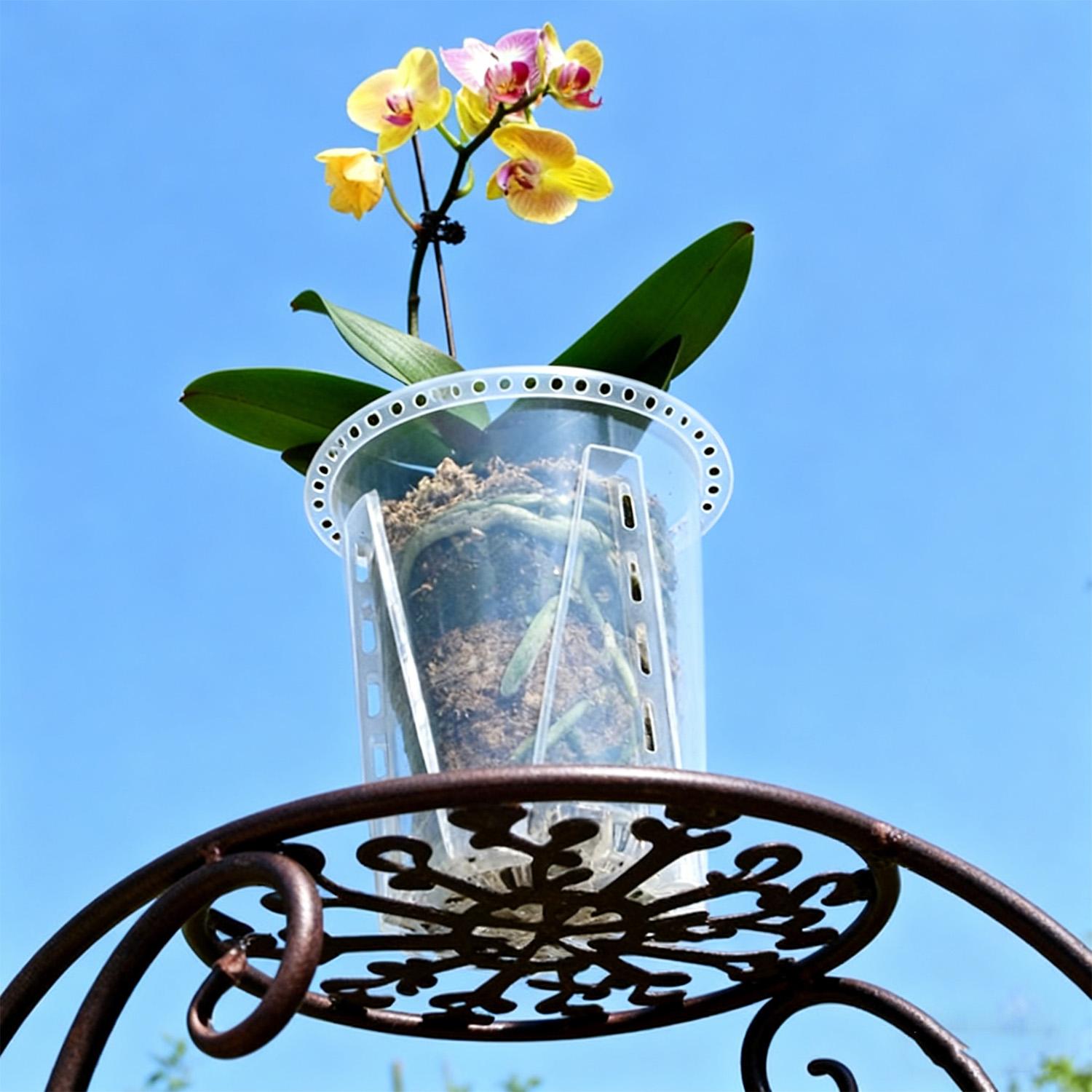 S/M/L/XL Orchid Flowerpot with - Orchid Potting Mix review and price