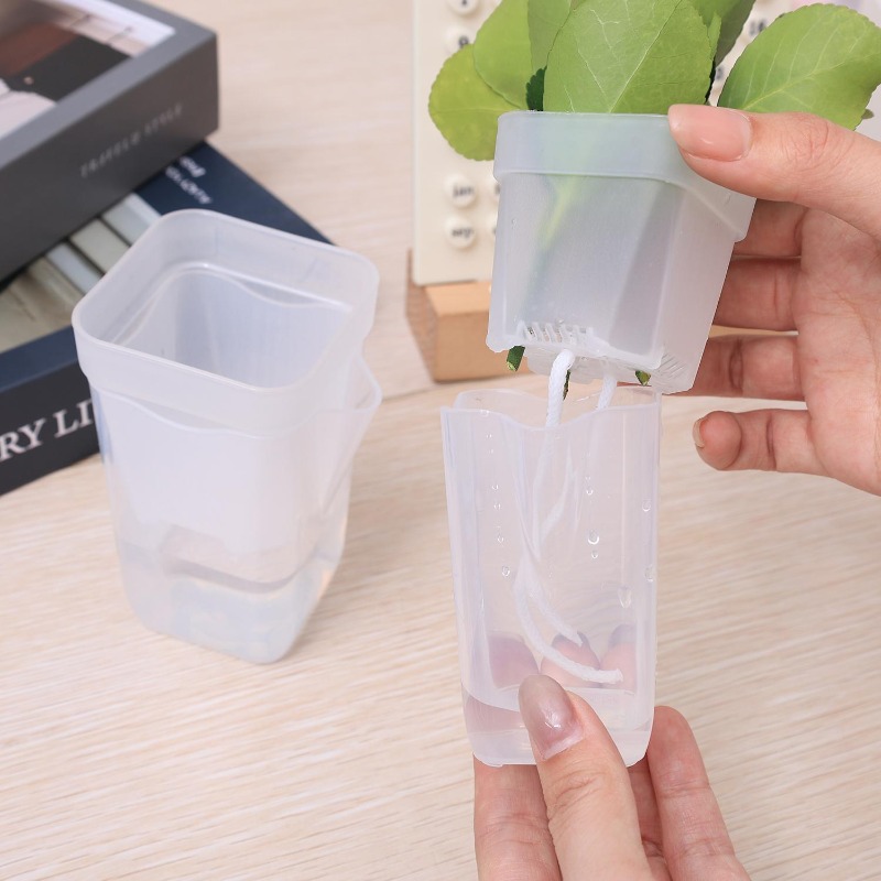 Transparent Flower Plant Pot S - Orchid Potting Mix review and price