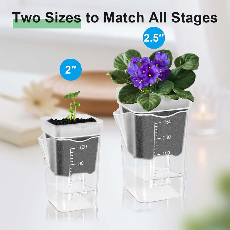 Transparent Flower Plant Pot S - Orchid Potting Mix review and price