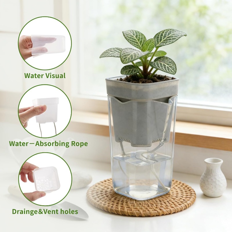 Transparent Flower Plant Pot S - Orchid Potting Mix review and price