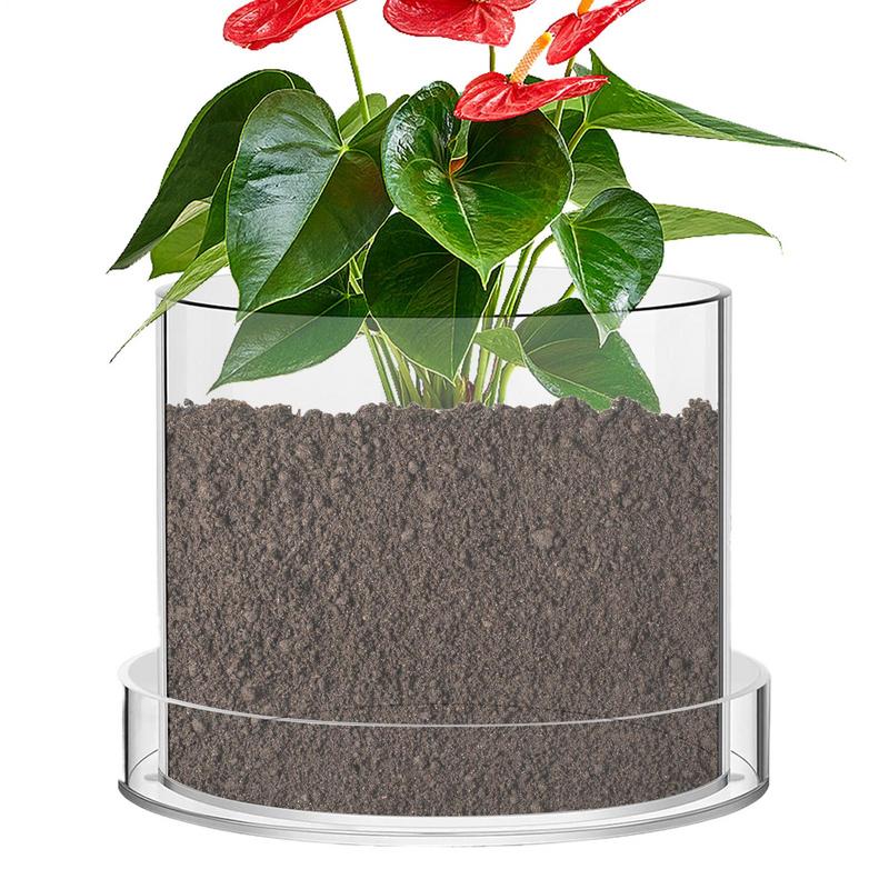 Clear Plant Pots With Drainage - Orchid Potting Mix review and price