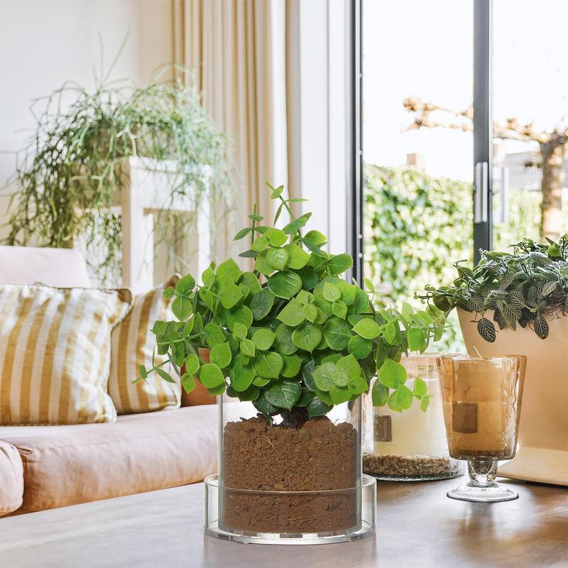 Clear Plant Pots With Drainage - Orchid Potting Mix review and price