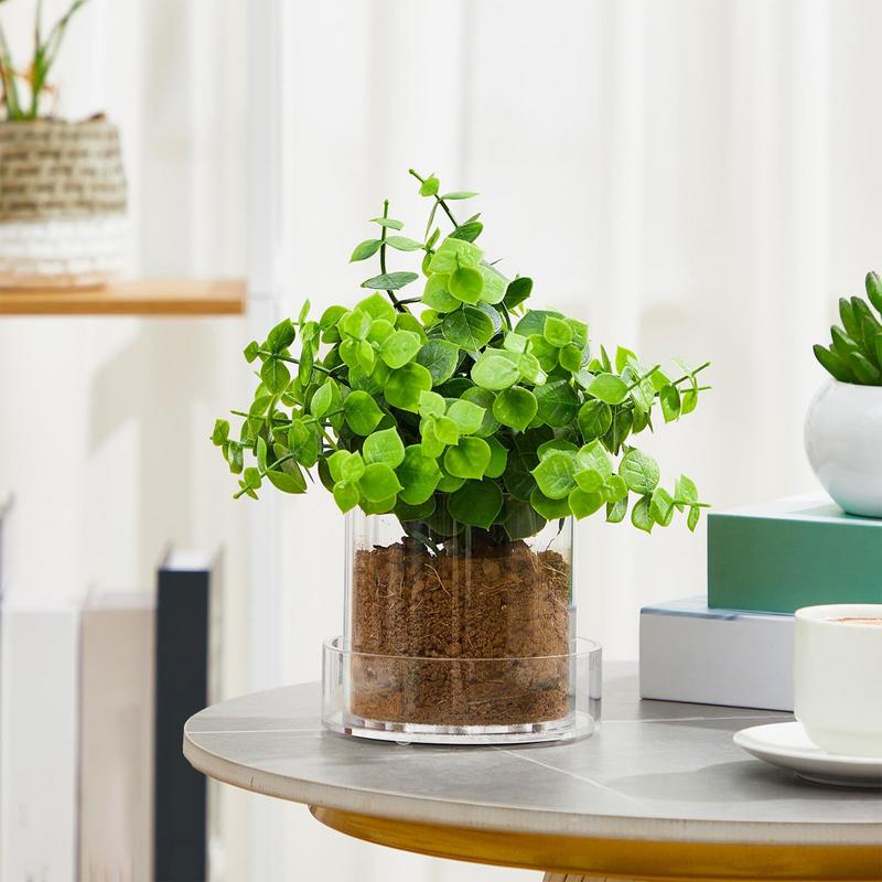 Clear Plant Pots With Drainage - Orchid Potting Mix review and price
