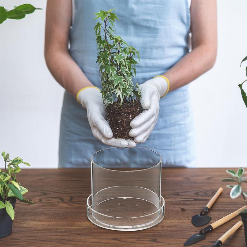 Clear Plant Pots With Drainage - Orchid Potting Mix review and price