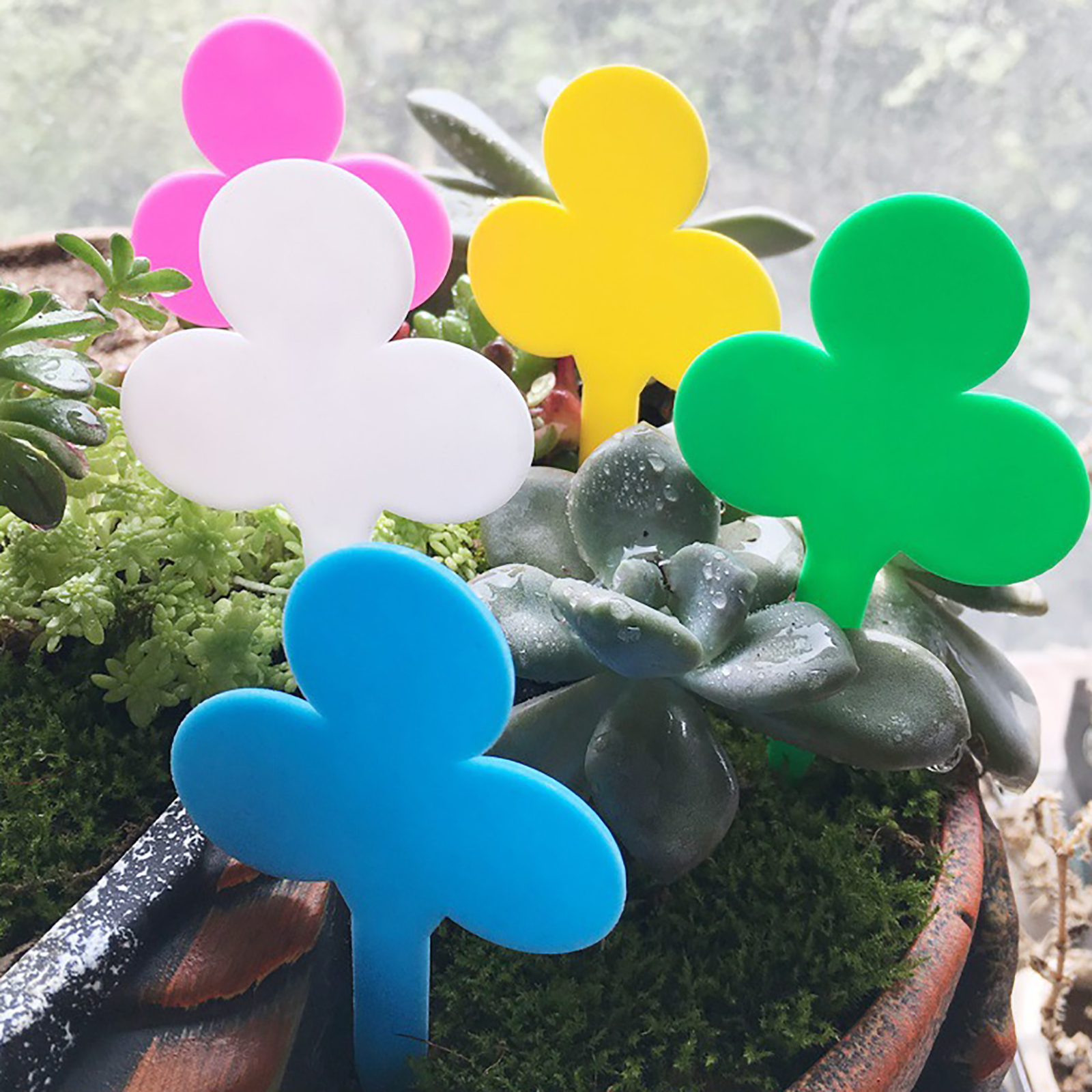 50/100Pcs Plant Labels Garden  - Plant Label Tags review and price