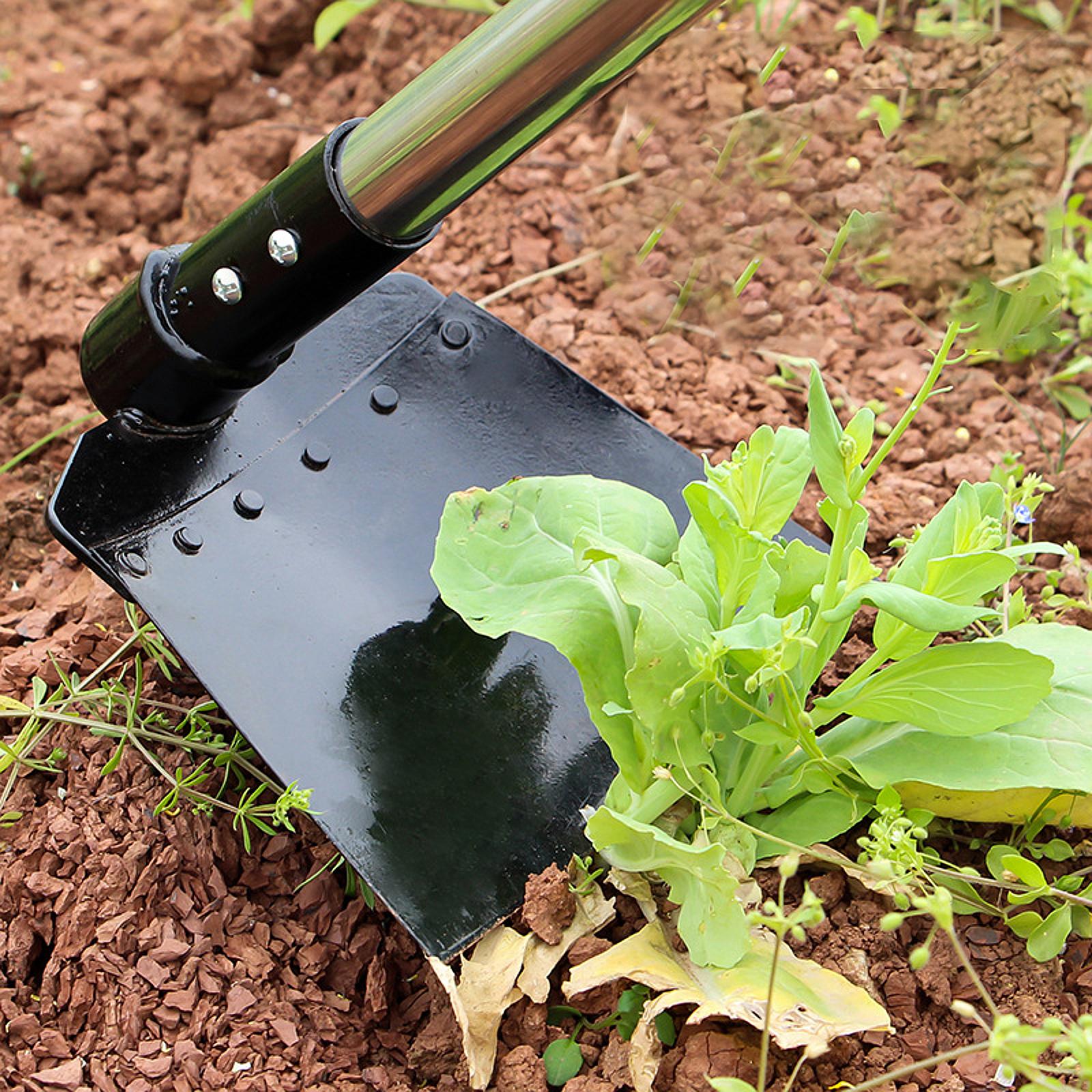 Weeding Sickle Hoe Adjustable  - Gardening Tools Hoe review and price