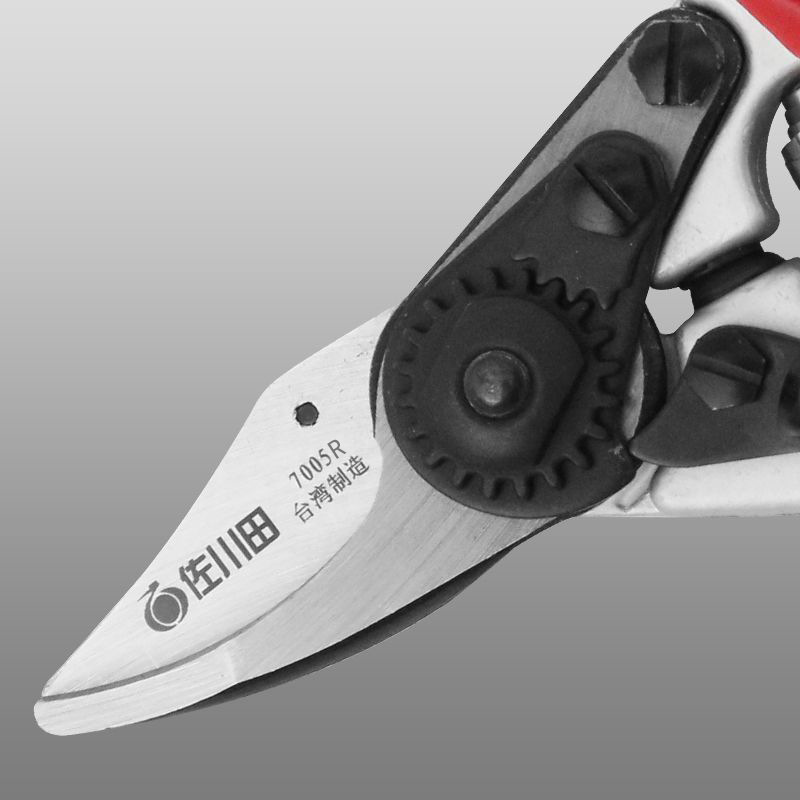 Manual Fruit Tree Pruning Scis - Gardening Tools Sharp review and price